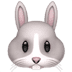 :rabbit: